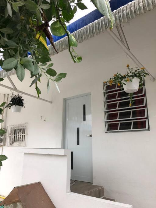 Spacius 4Br Home In Trendy Loiza St, Near Beach San Juan Eksteriør billede